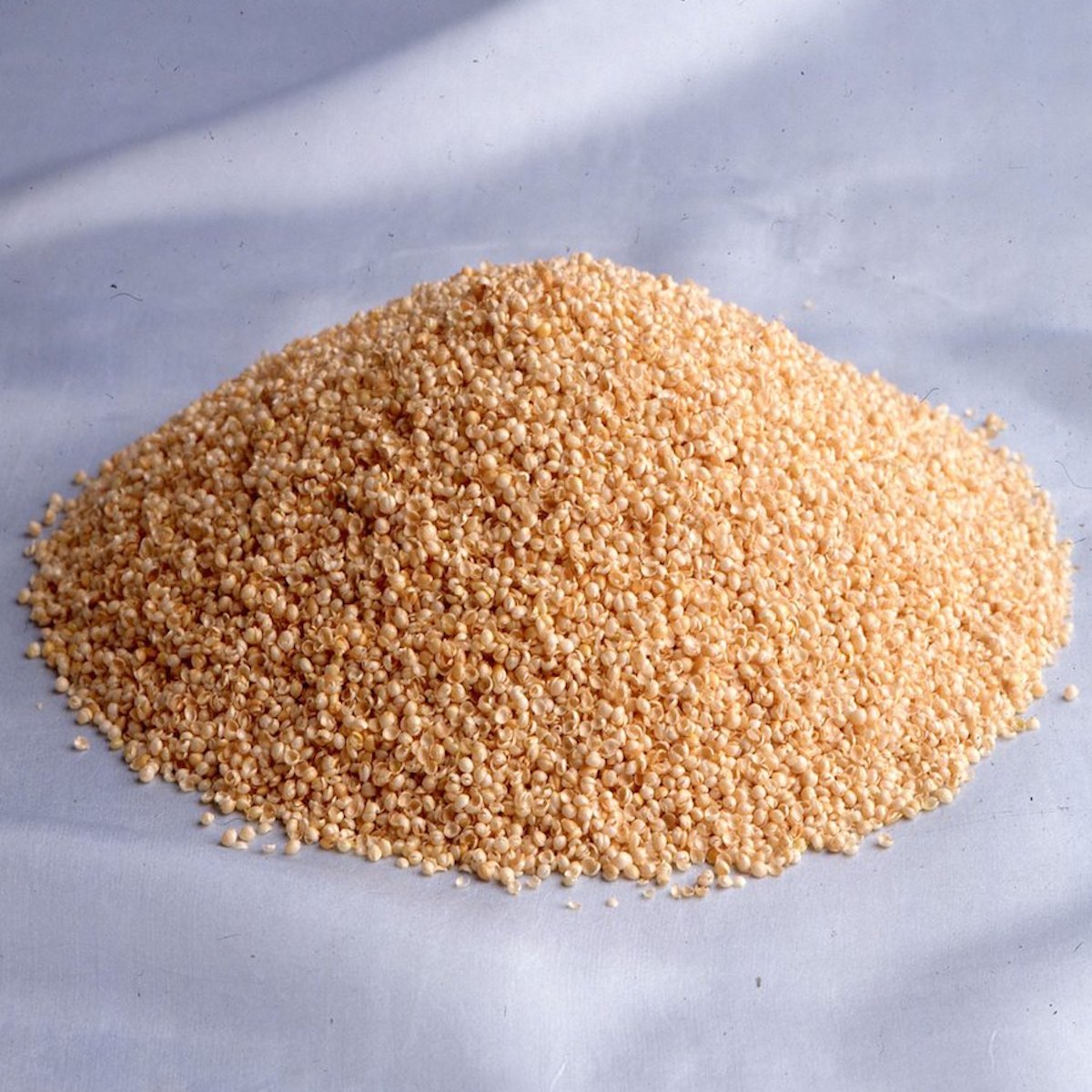 millet husks special order Nest