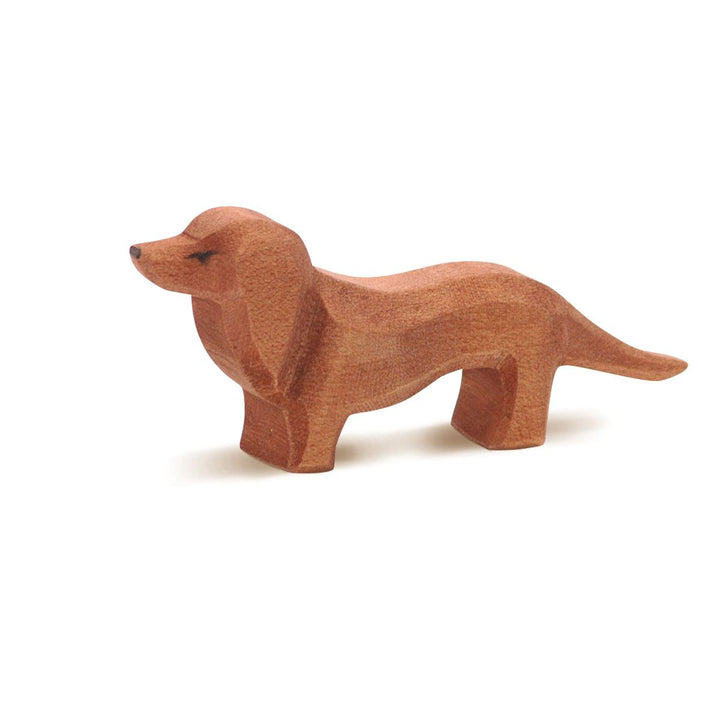 Ostheimer dachshund