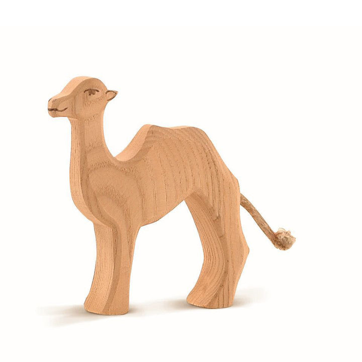 Ostheimer small camel