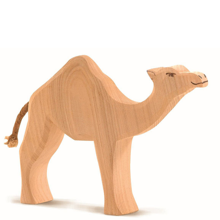 Ostheimer Dromedary