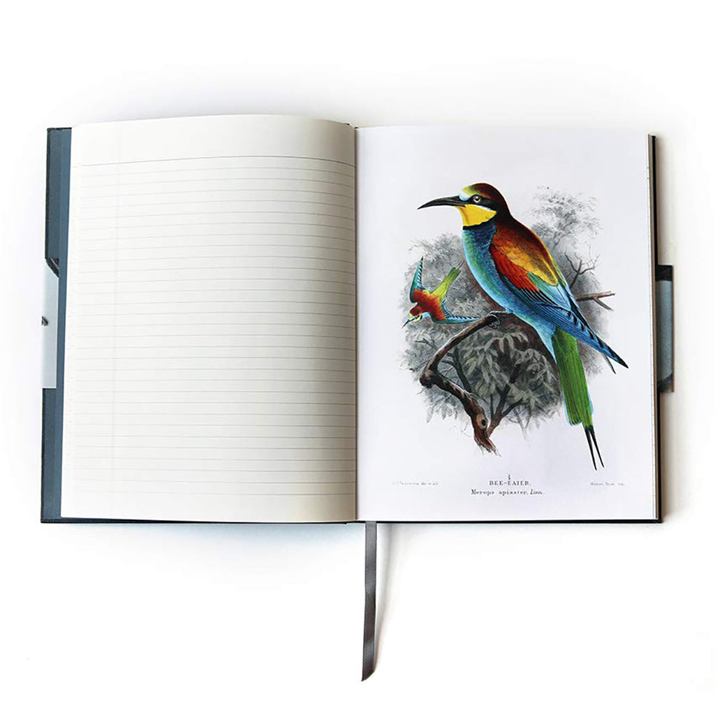 The Observer's Notebook, Birds