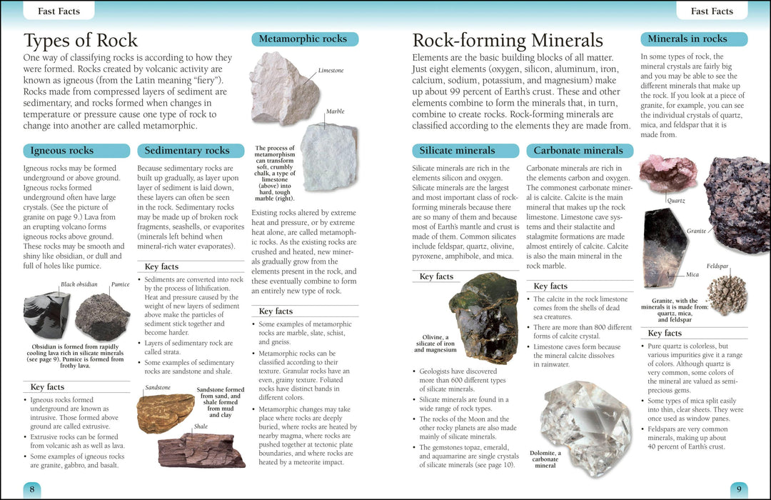 Rocks & Minerals workbook