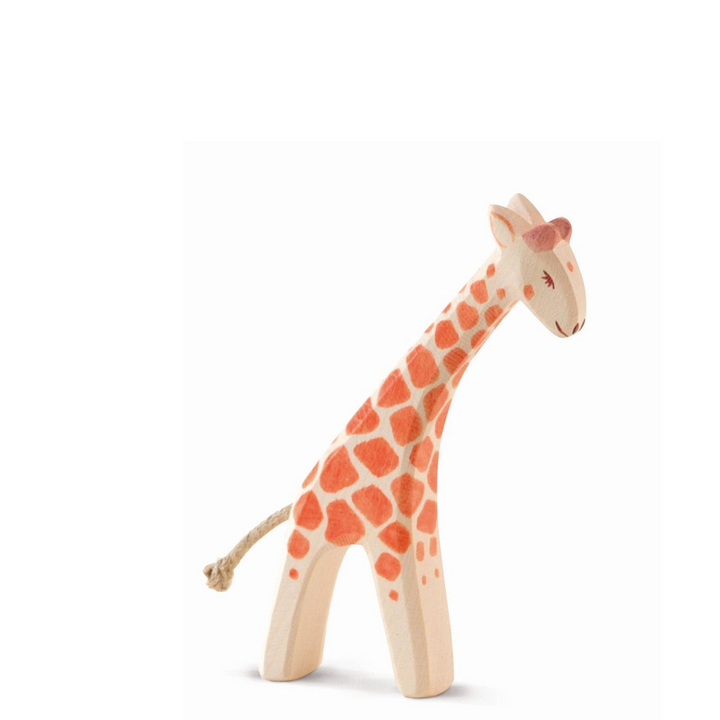 Ostheimer giraffe small head low