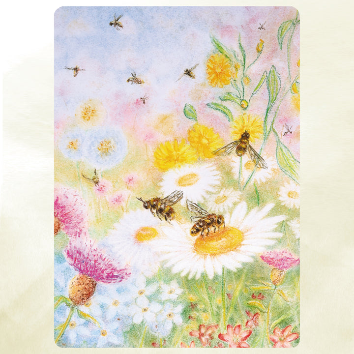 Bee Pasture chalk drawing postcard