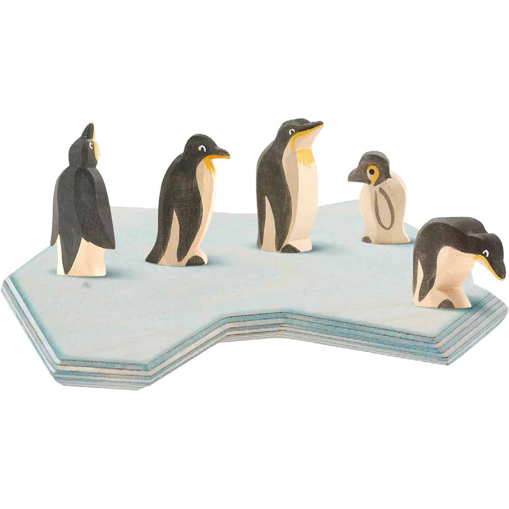 Ostheimer penguin, small