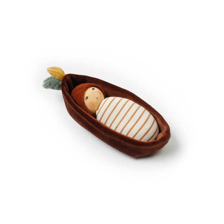 Nanchen oak leaf baby in bark cradle