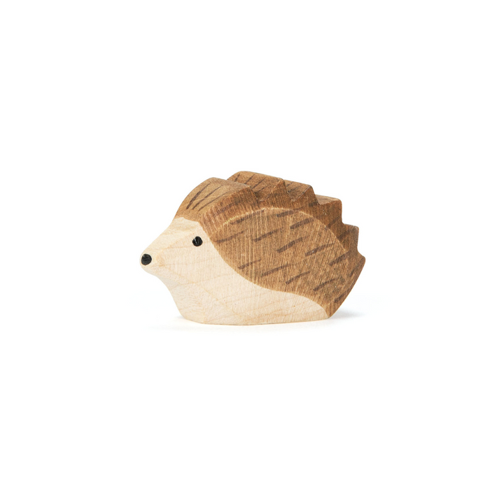 Ostheimer hedgehog, small