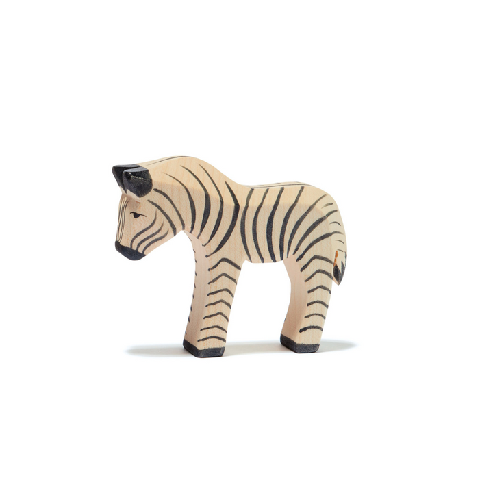 Ostheimer zebra, youth