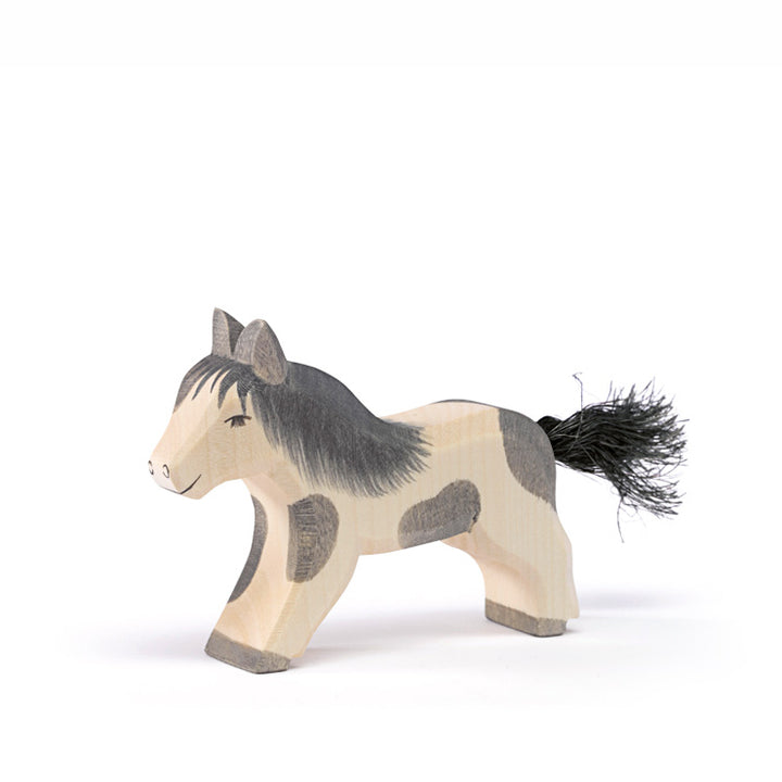 Ostheimer Shetland pony running