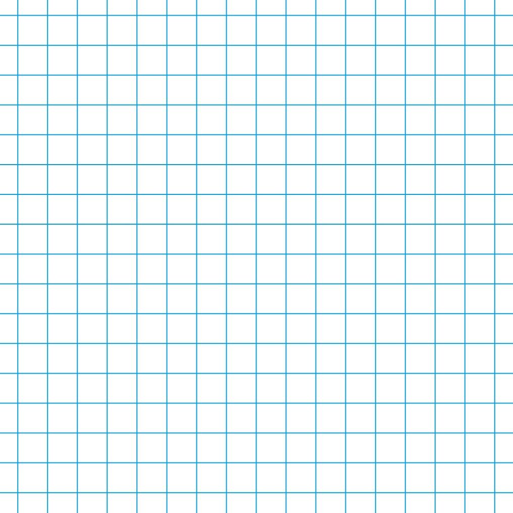 graph paper main lesson books