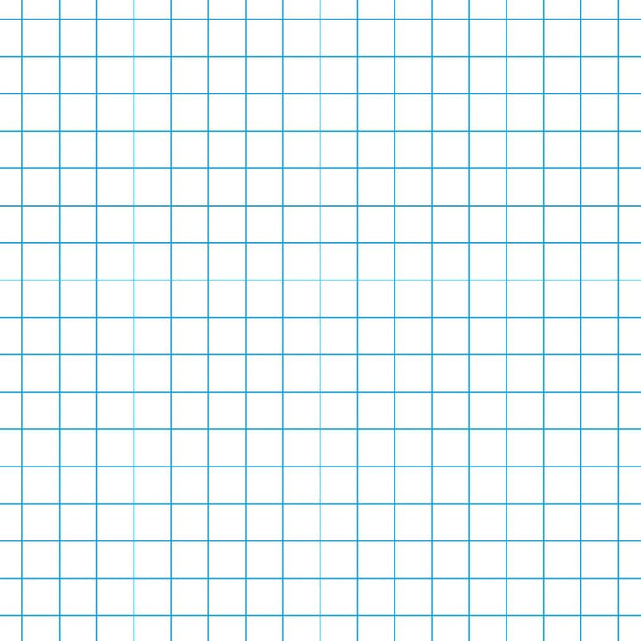 graph paper main lesson books