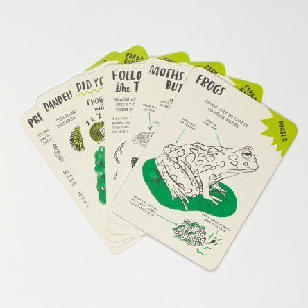 Hello Nature Activity Cards