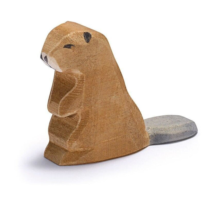 Ostheimer beaver sitting