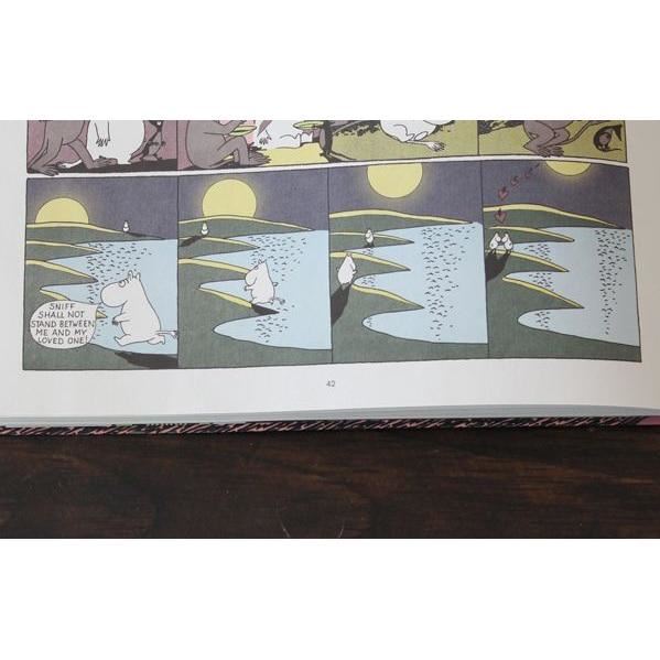 Moomin and the Brigands comic book