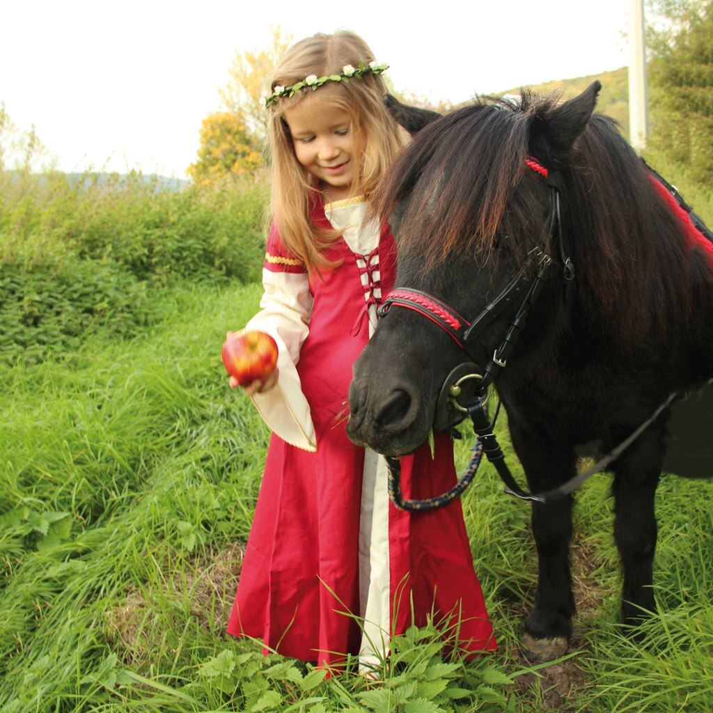 little Marian dress