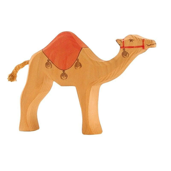 Ostheimer dromedary with saddle