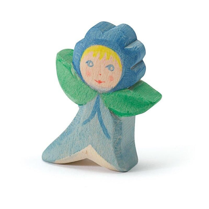 Ostheimer flower child Forget-me-not