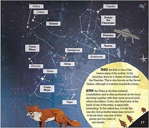 Stars - A Family Guide to the Night Sky