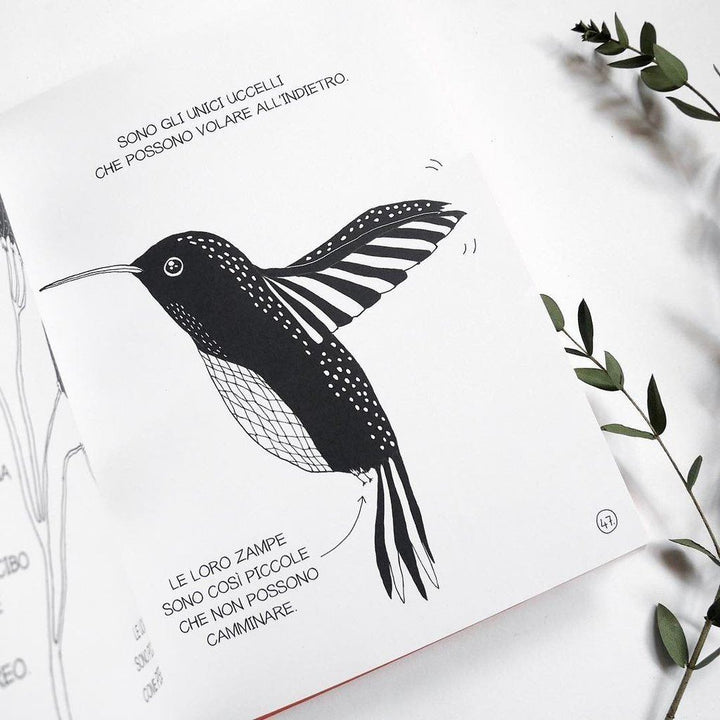 The Illustrated Compendium of Amazing Animal Facts