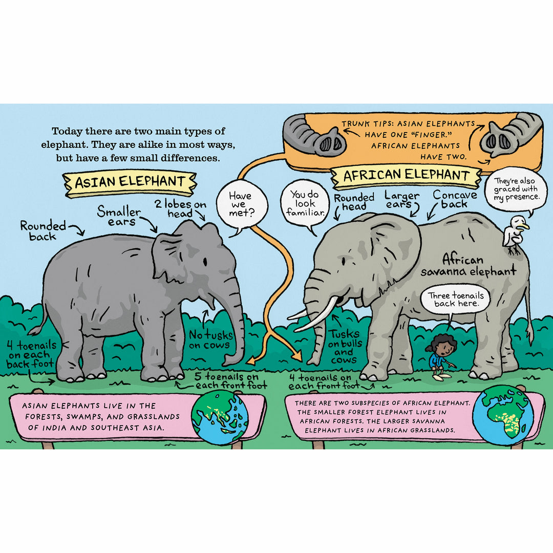 The Truth About Elephants