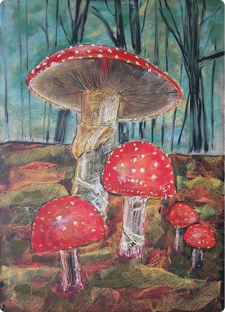 Fly Agaric chalk drawing postcard