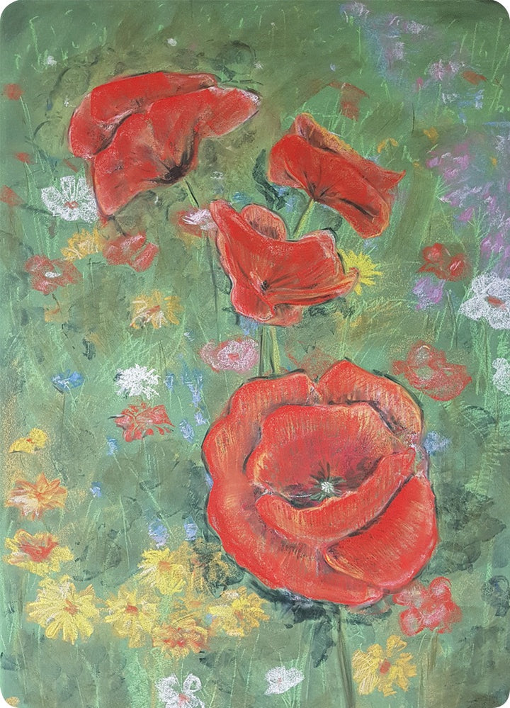 Poppies chalk drawing postcard