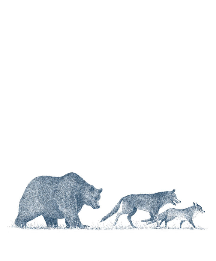 An Illustrated Collection of Nordic Animal Tales