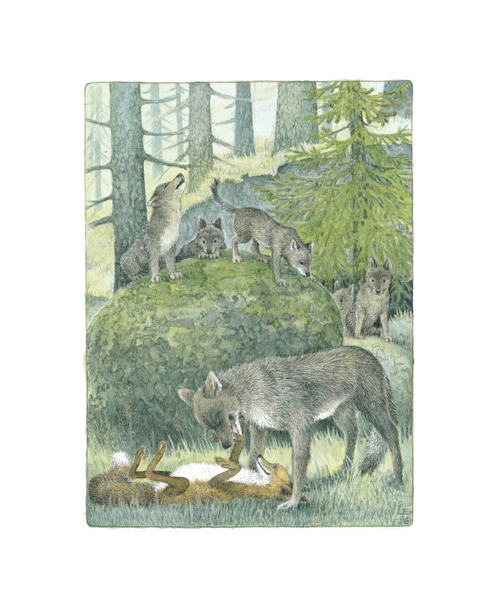 An Illustrated Collection of Nordic Animal Tales