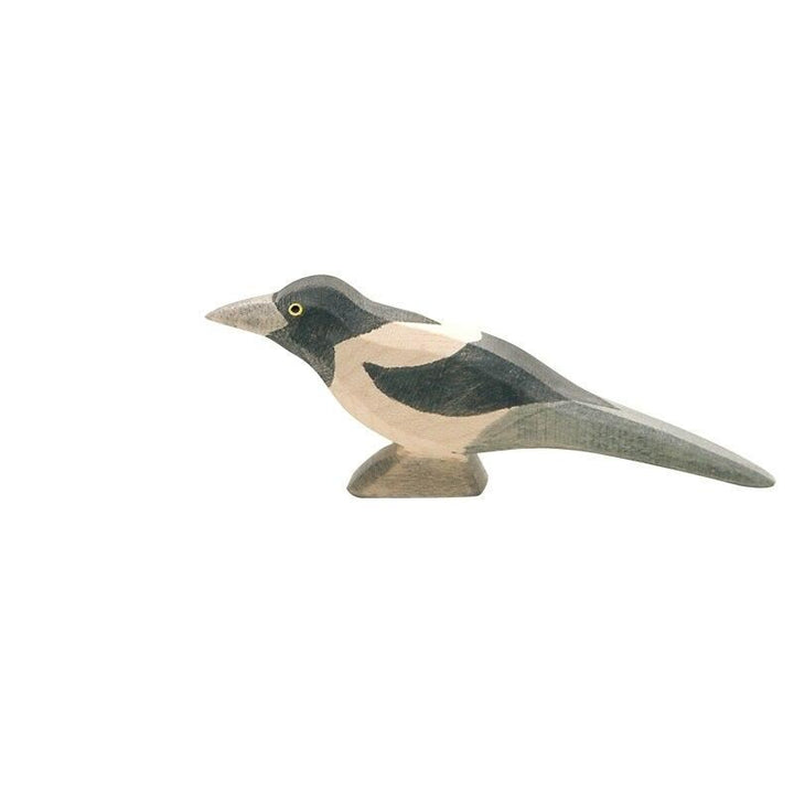 Ostheimer magpie