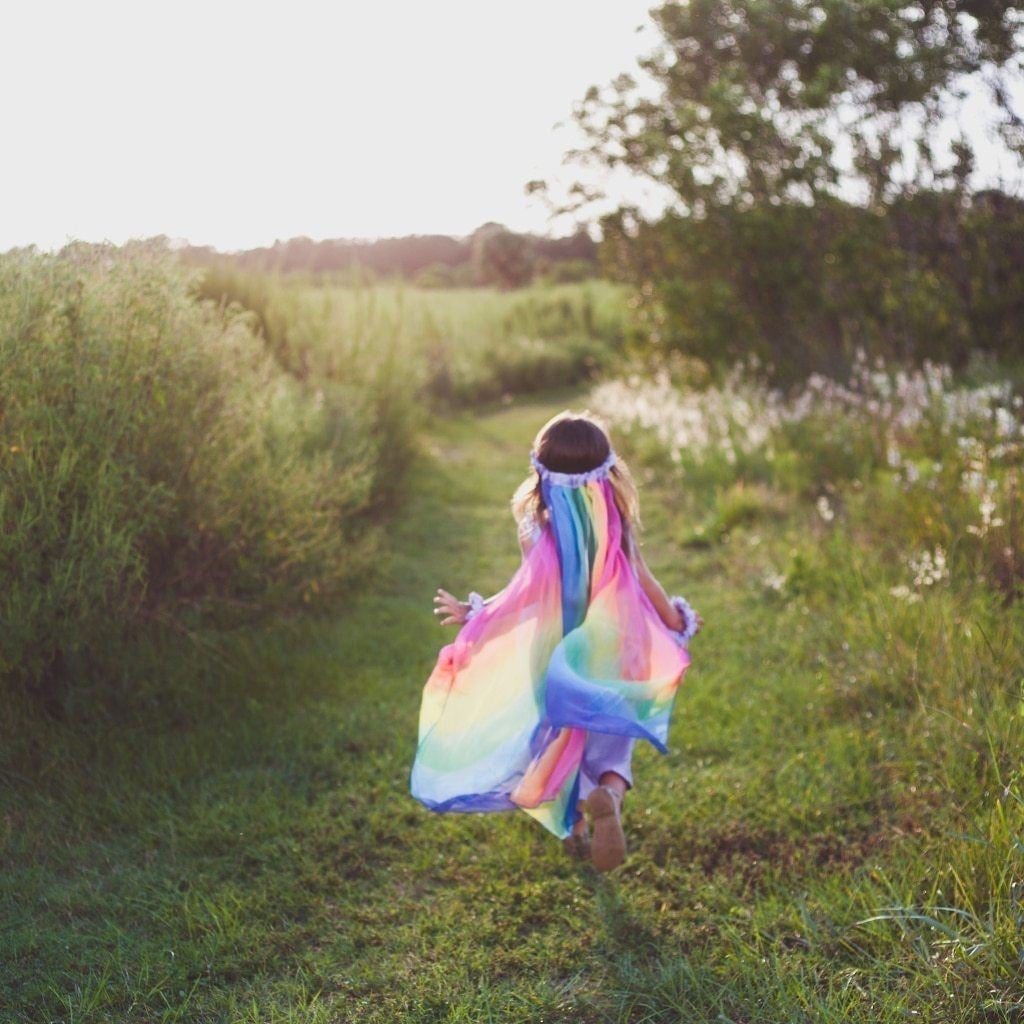 silk rainbow veil