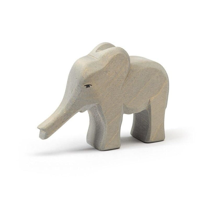 Ostheimer elephant small trunk out