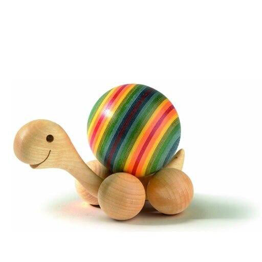 rainbow_turtle__45389.1512334969.1024.1024.jpg