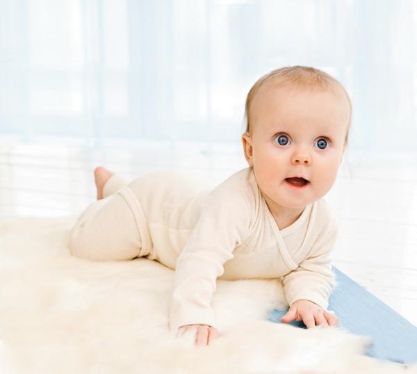 organic merino wool nappy pant